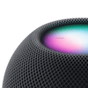 HomePod mini - Space Gray